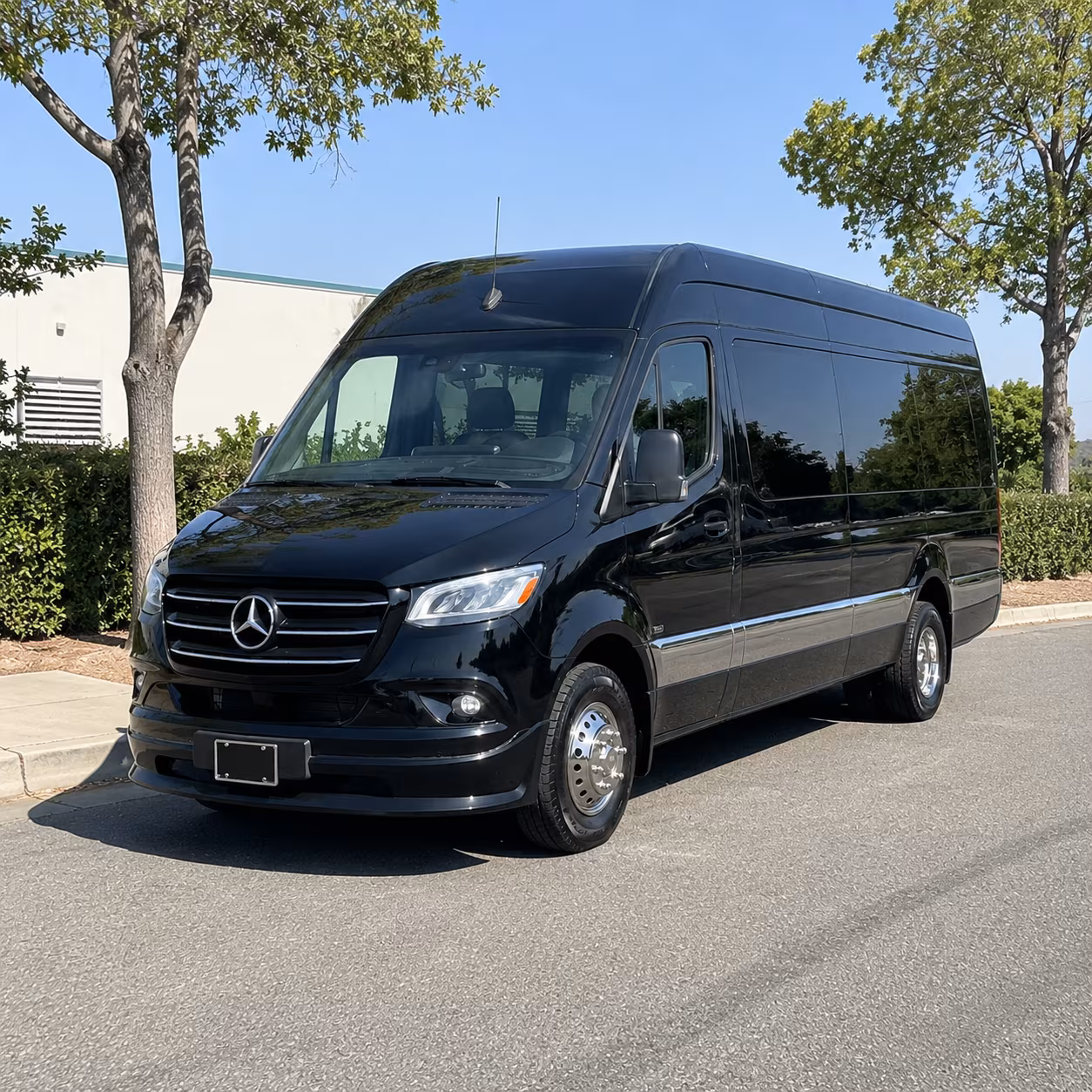 sprinter vans and minibuses for smaller fan groups around san angelo